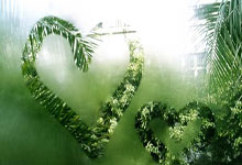 [法甲]欢度春节 欧塞尔迎来“中国日”活动.