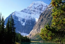 北青体育：5名申花球员赴驻地报到，国足14日训练将集齐全部国脚.